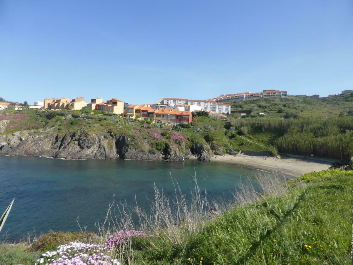 Appartement Les Roches Bleues - 4Rb67 Collioure Exteriör bild