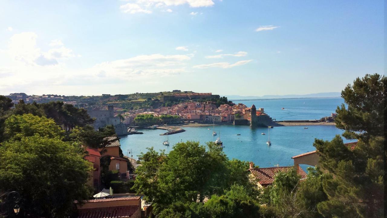 Appartement Les Roches Bleues - 4Rb67 Collioure Exteriör bild